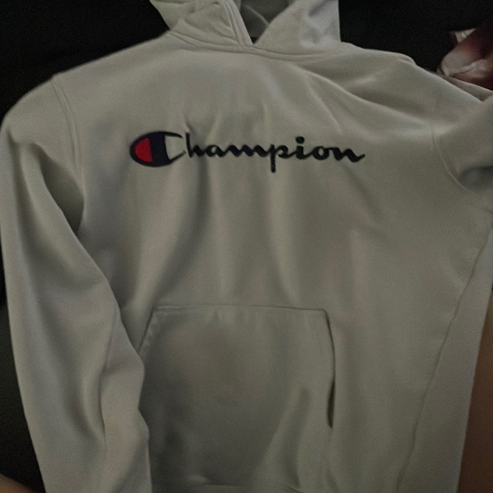 Champion hoodie from DICKS Sporting Goods.